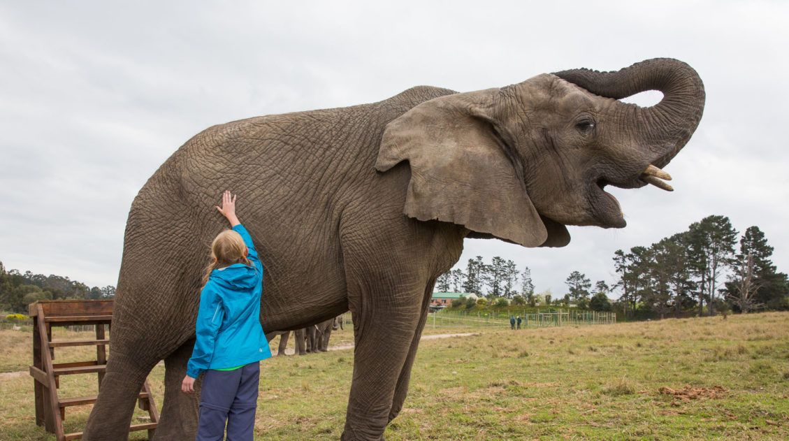 Kara with an Elephant