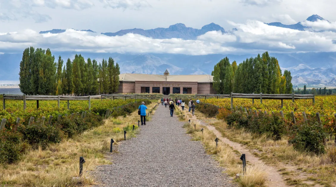 Mendoza Wine Region