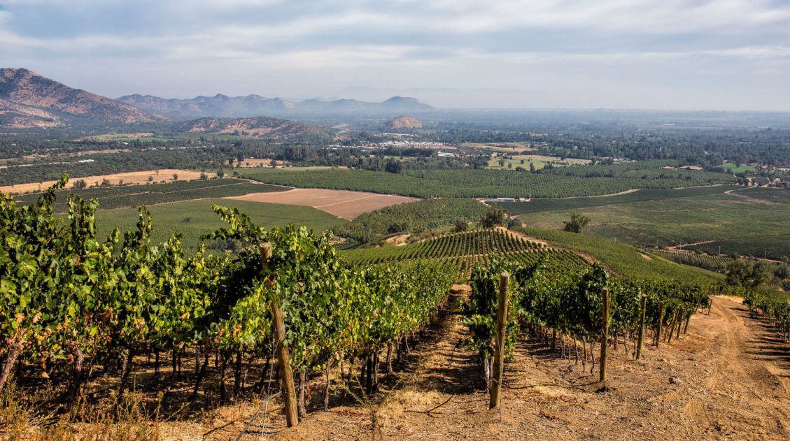 Santiago Wine Region