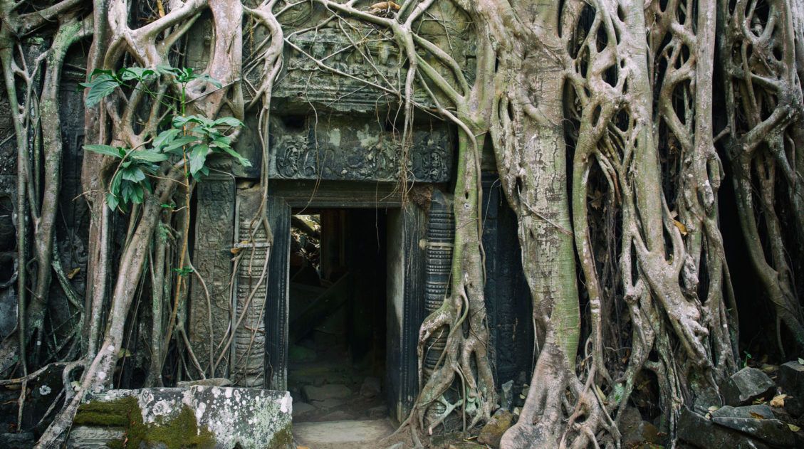 Ta Prohm