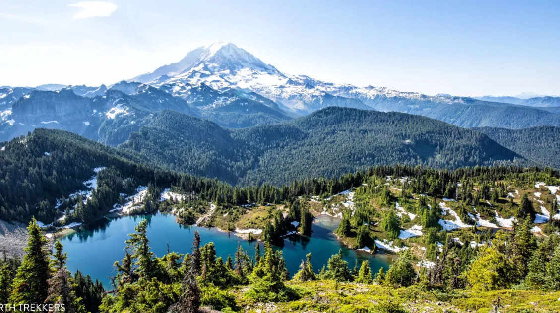 Tolmie Peak View