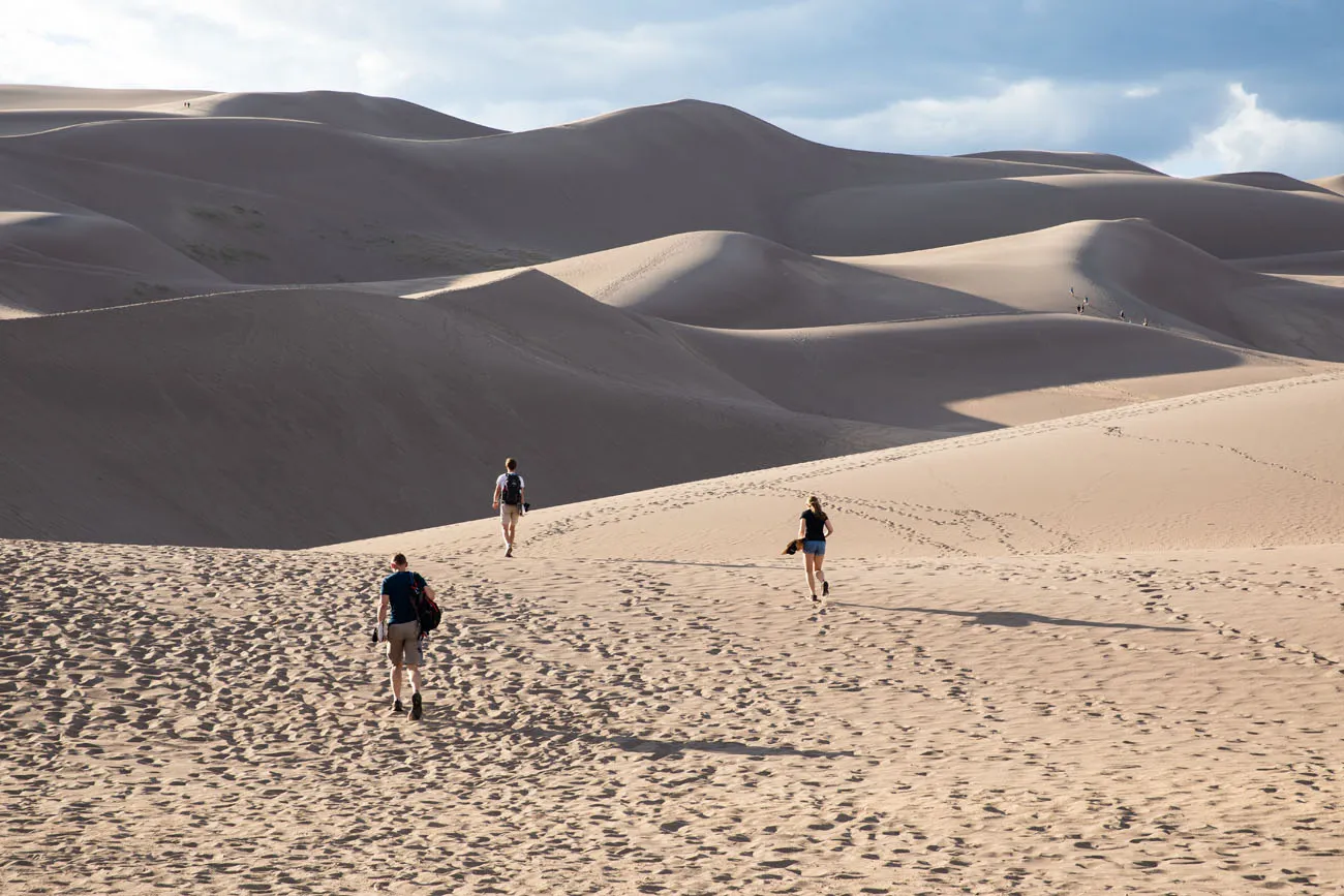 10 Best Sand Dunes in the US for Outdoor Adventure – Bearfoot Theory