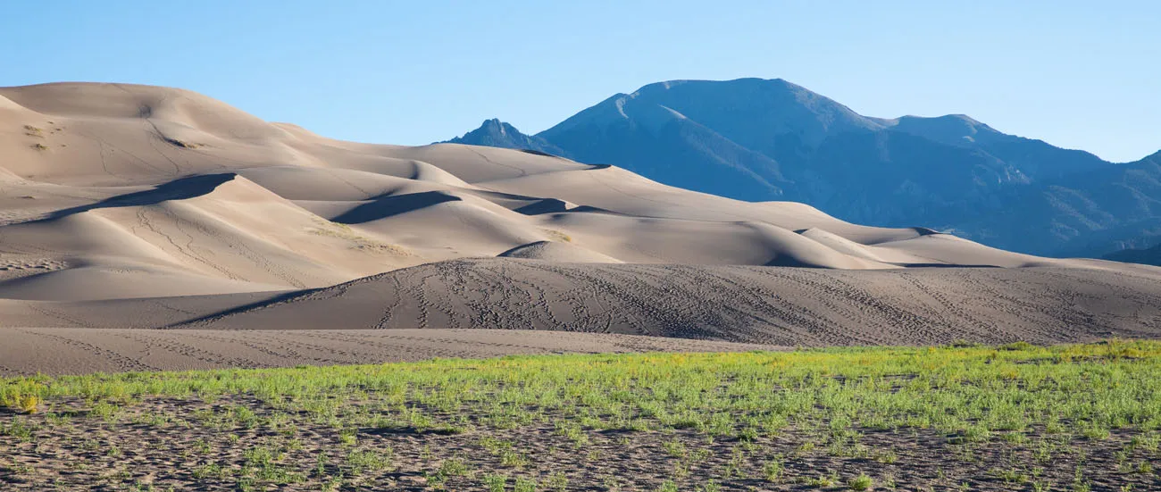 8 Amazing Things to Do at Great Sand Dunes National Park – Earth