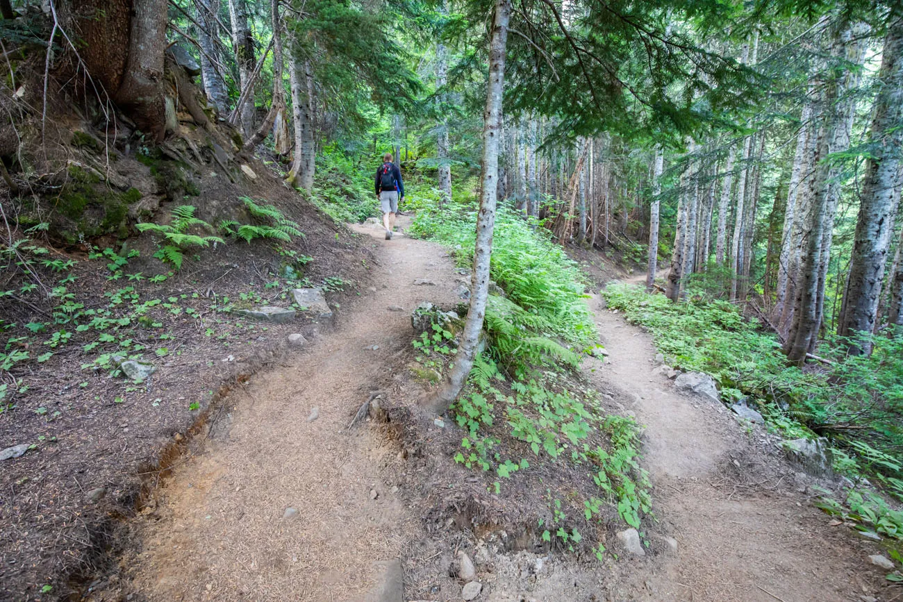 Cascade Pass Switchback