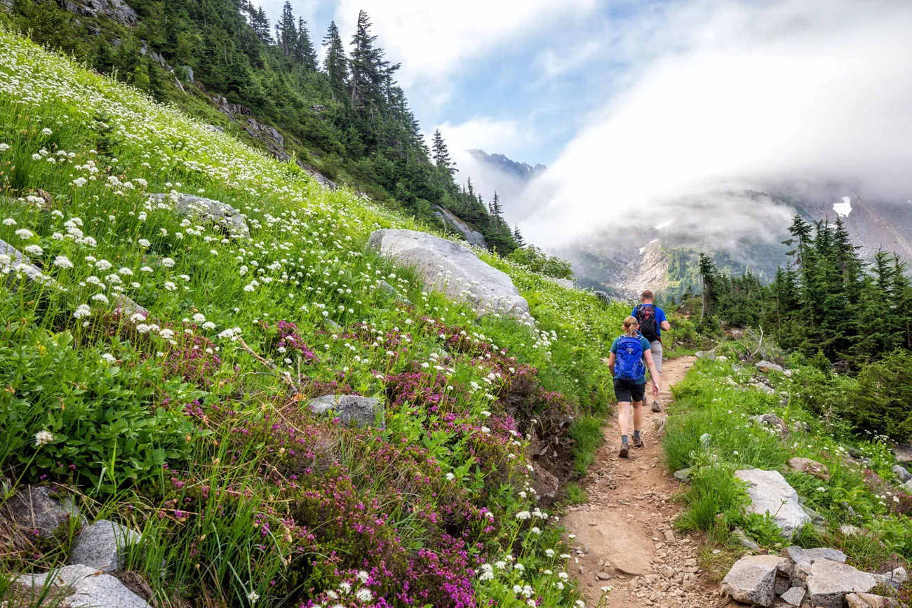 Cascade Pass Trail