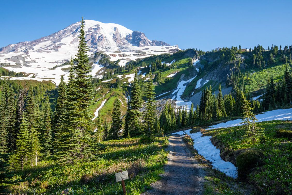 Skyline Trail Loop & Panorama Point, Mount Rainier National Park ...