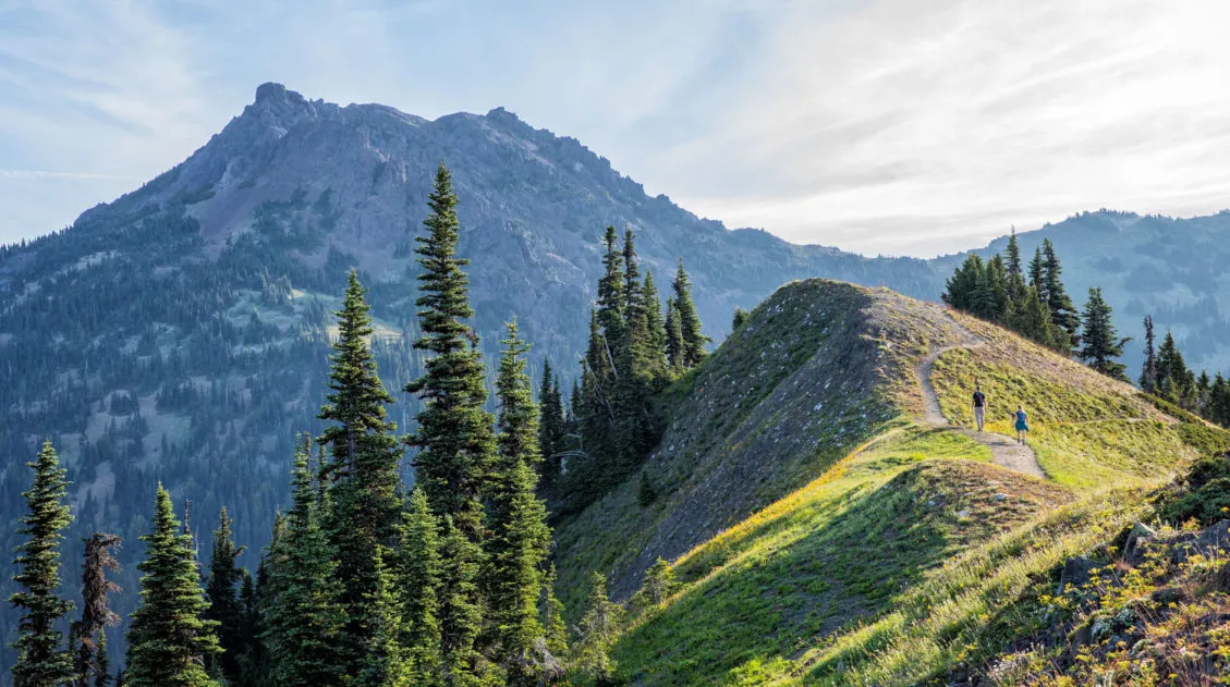 Hike Mt Angeles in Olympic NP