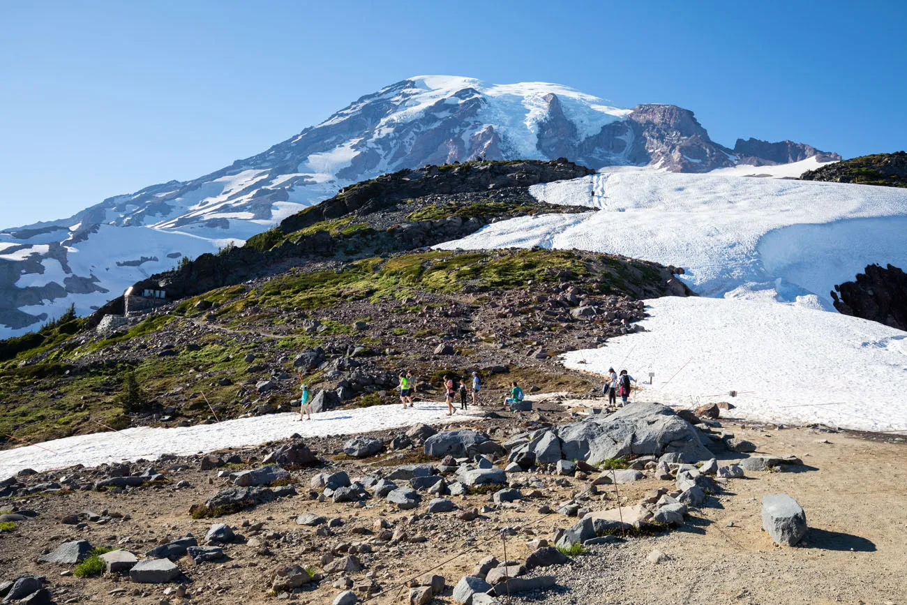 Mt Rainier from Panorama Point