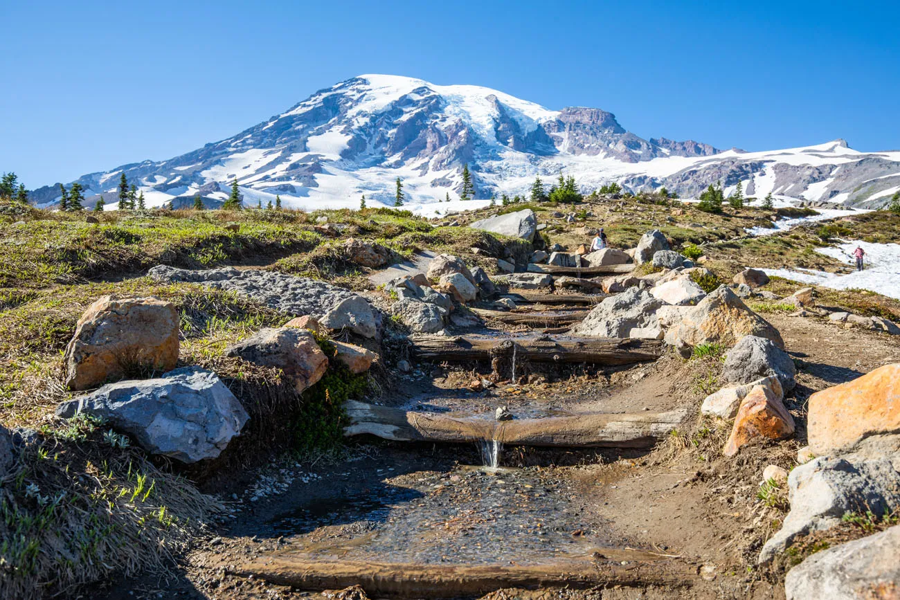 Mt Rainier in July