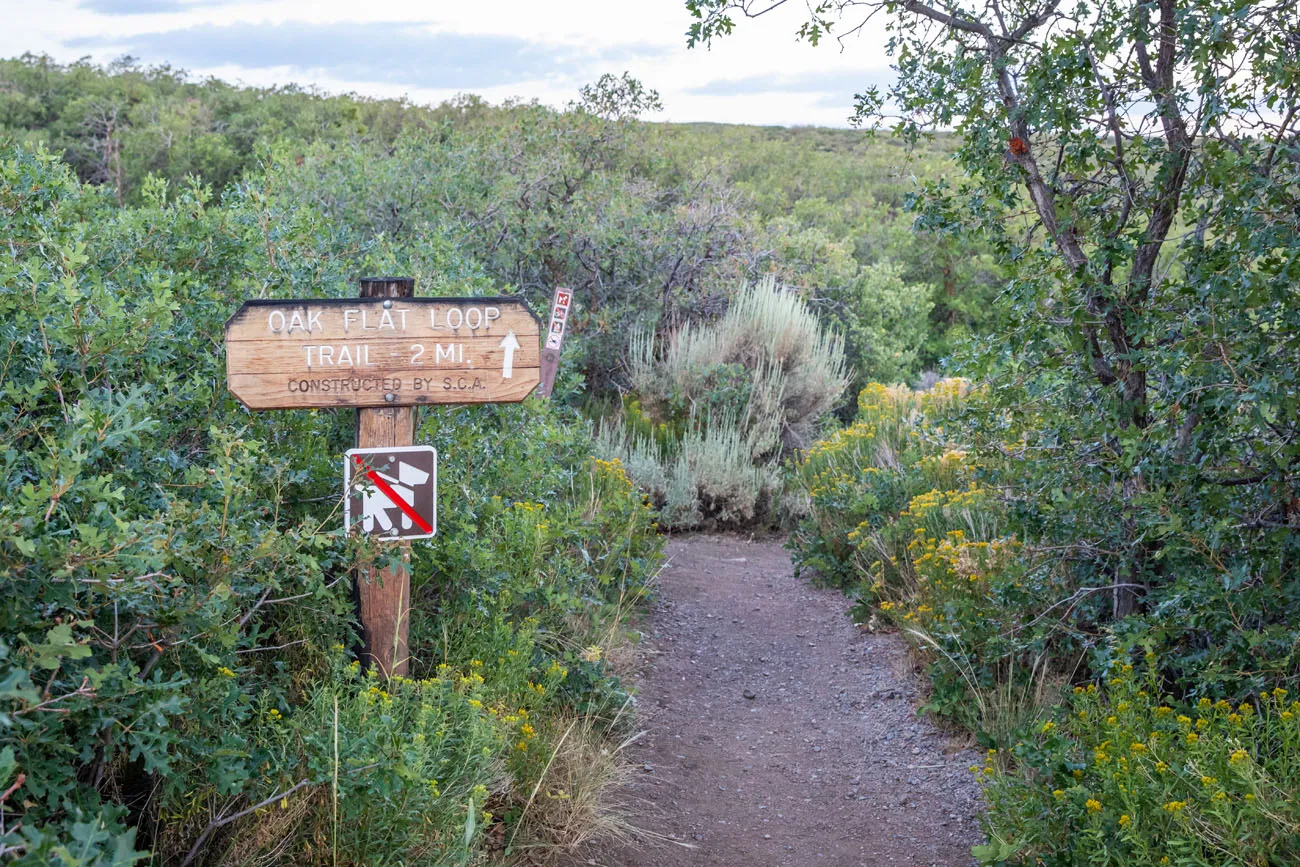 Oak Flat Loop Trail South Rim of Black Canyon of the Gunnison