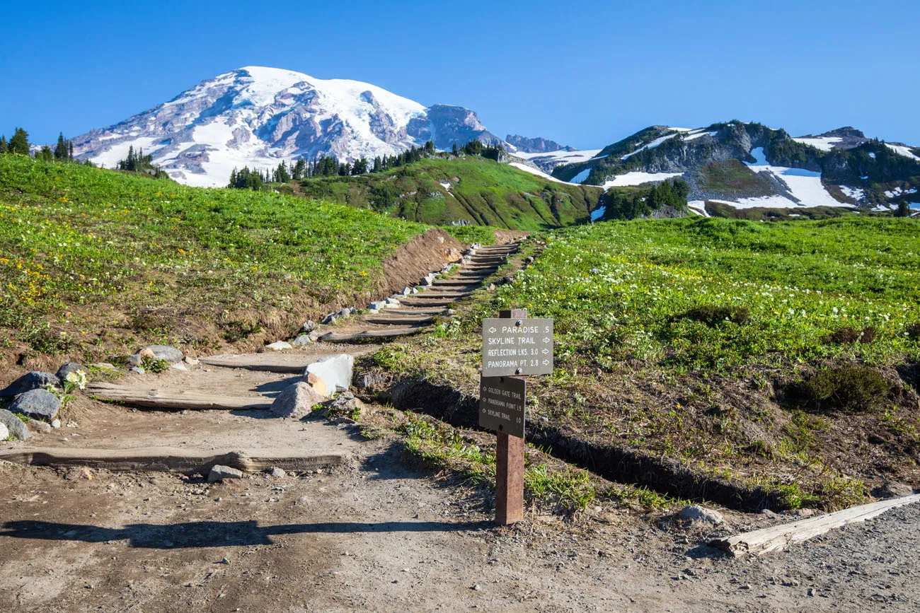 Paradise Mt Rainier