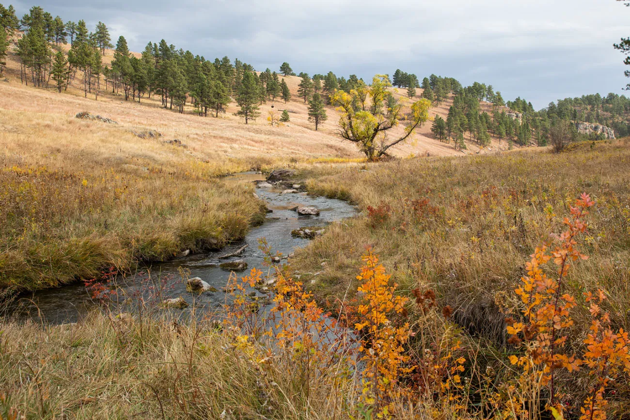 Beaver Creek Wind Cave