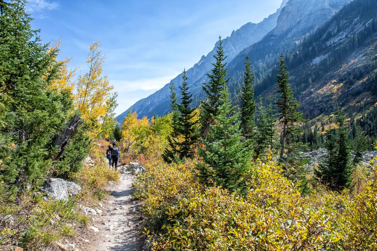 Cascade Canyon