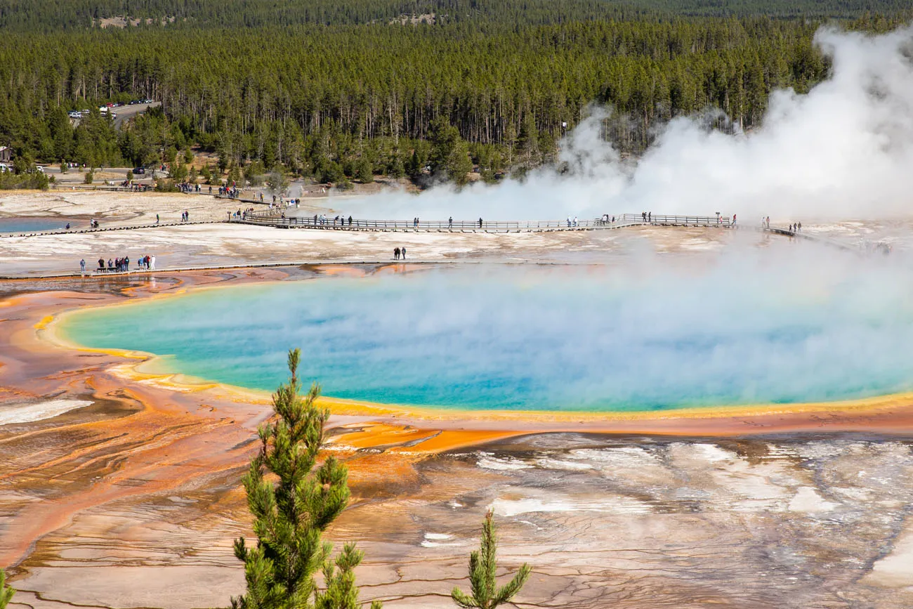 Grand Prismatic Spring Close Up