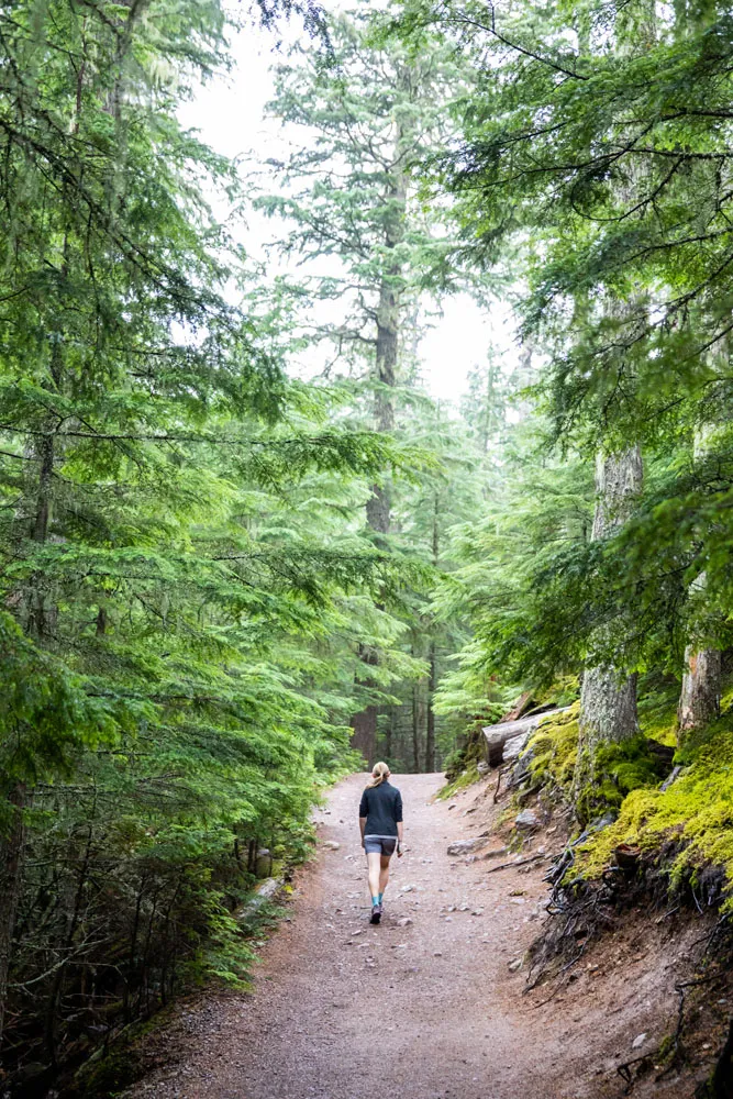 Hike in Glacier national parks with kids