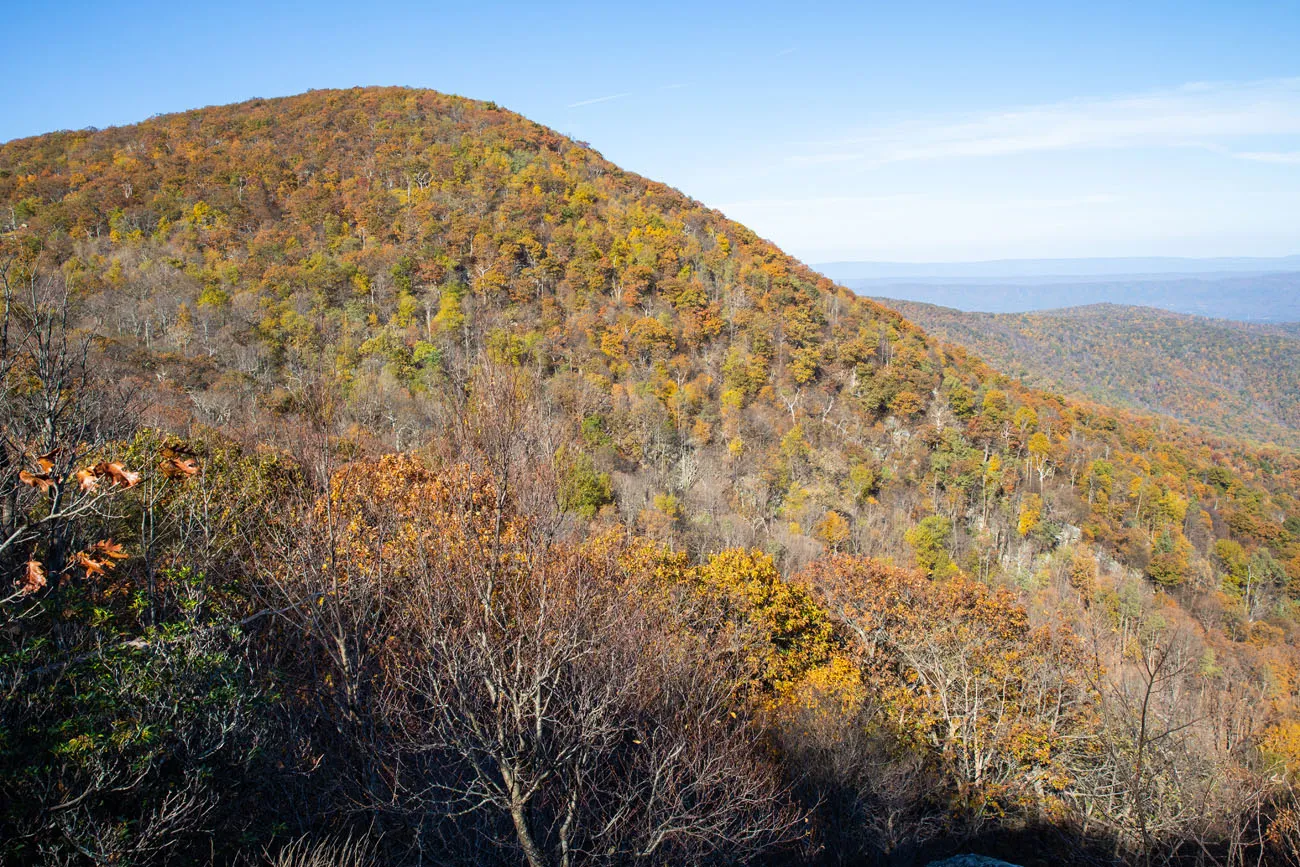 Hogsback Mountain