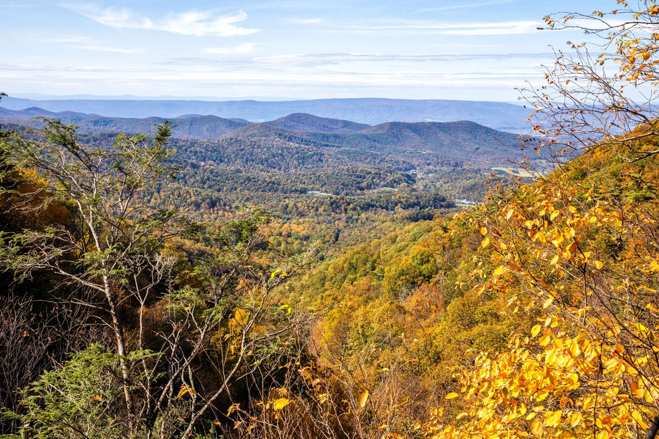 Lewis Springs Overlook