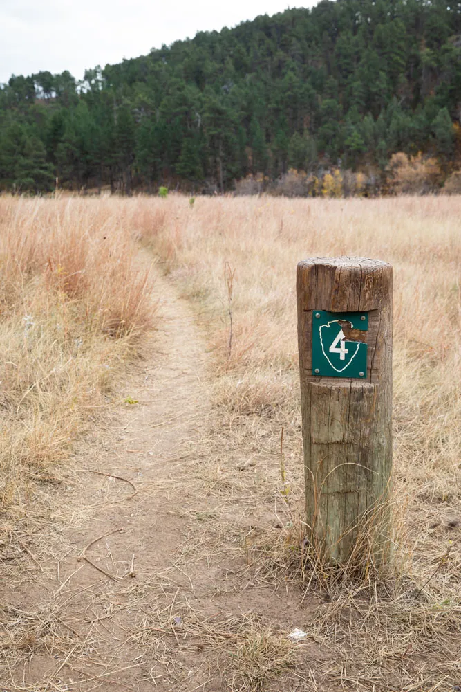 Lookout Point Trail Marker