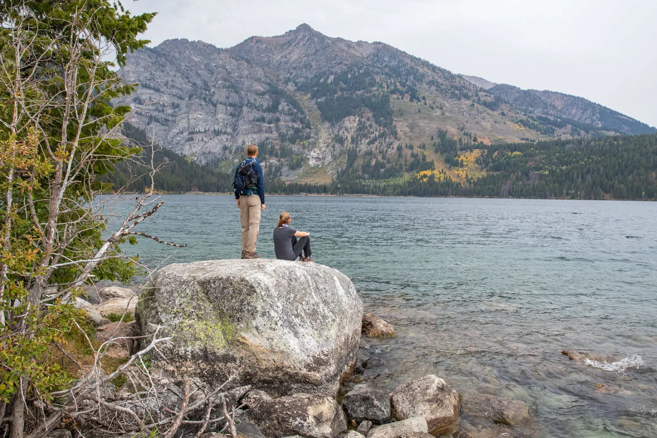 Phelps Lake Huckleberry Point