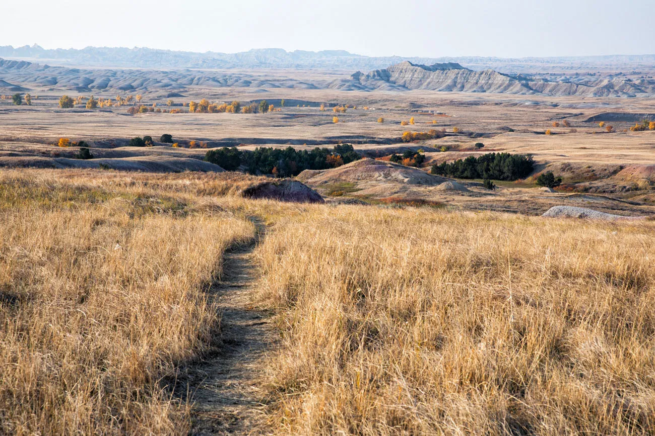 Sage Creek Hike