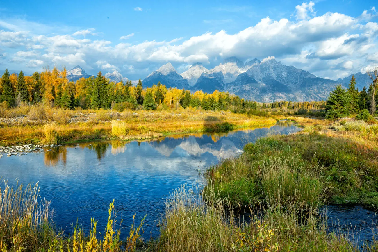 Schwabacher in September