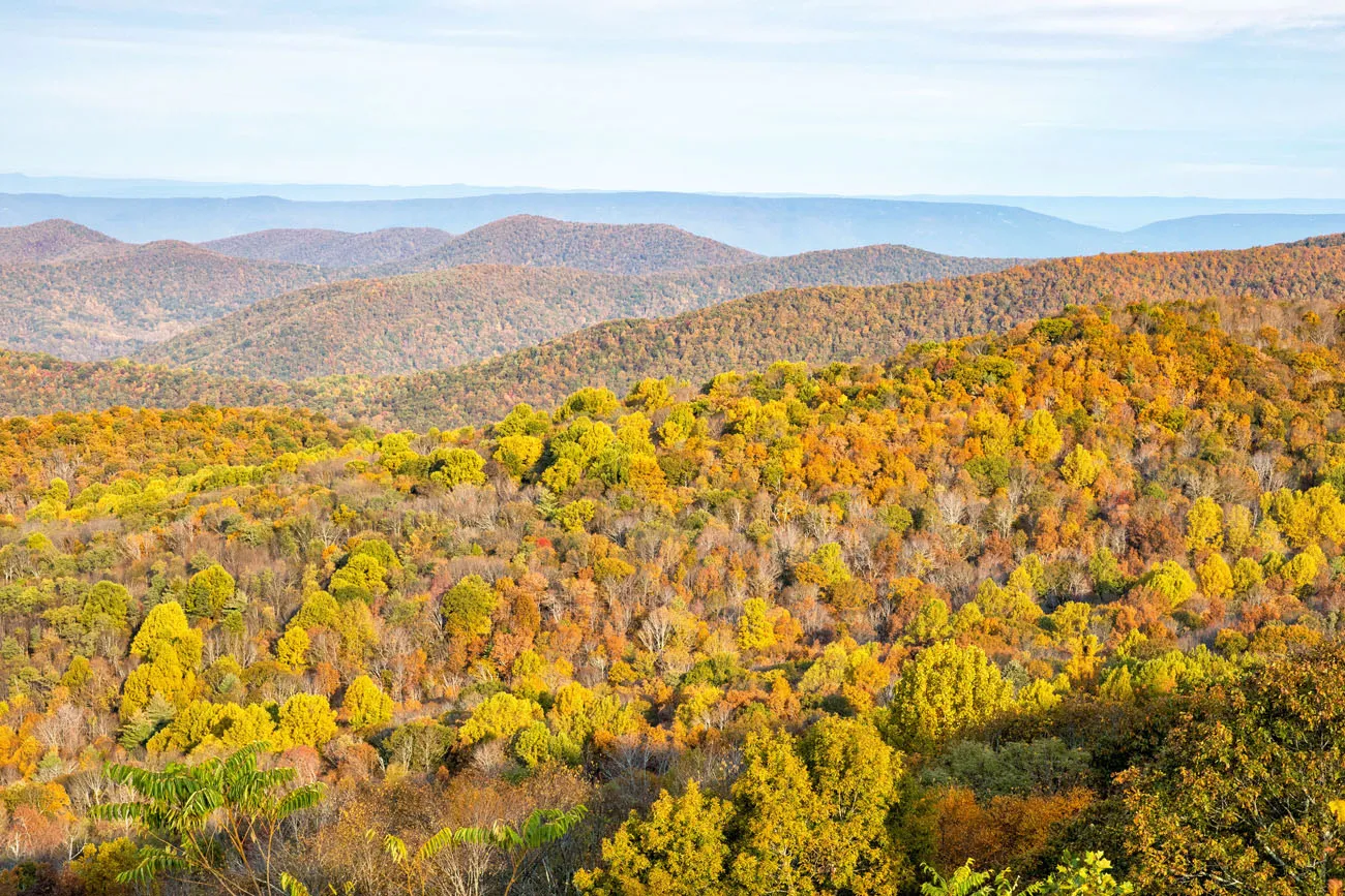 The Point Overlook