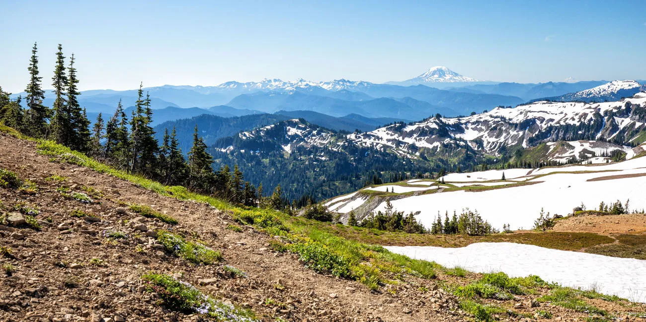 View of Mount Adams