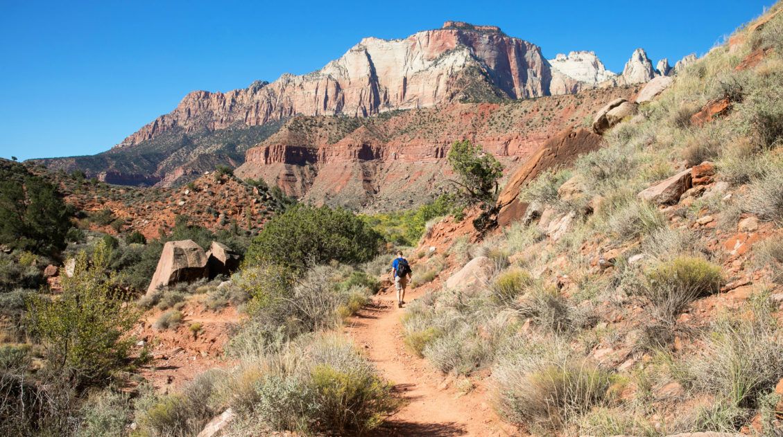 Watchman Trail Zion