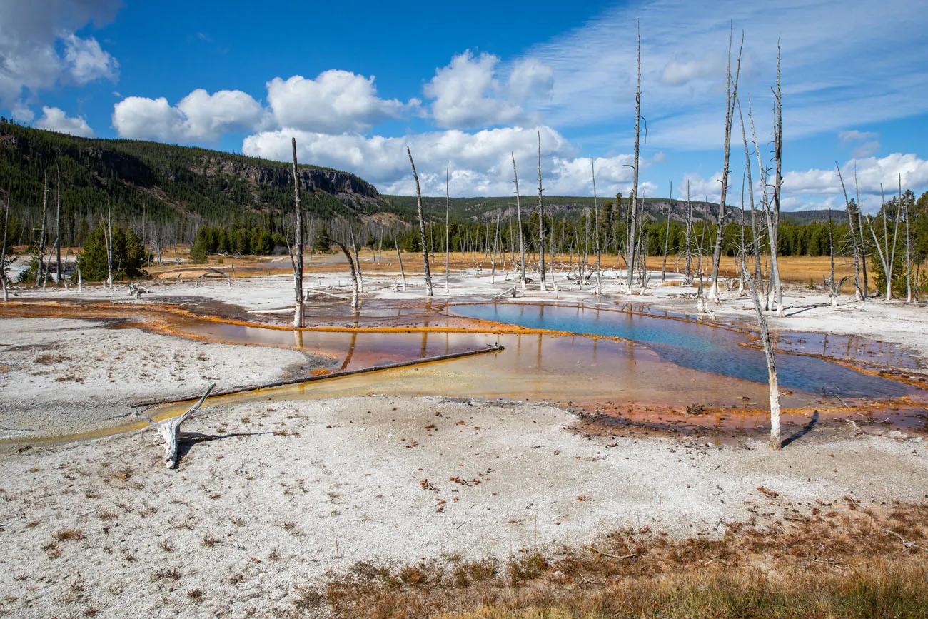 Yellowstone Geyser Basin