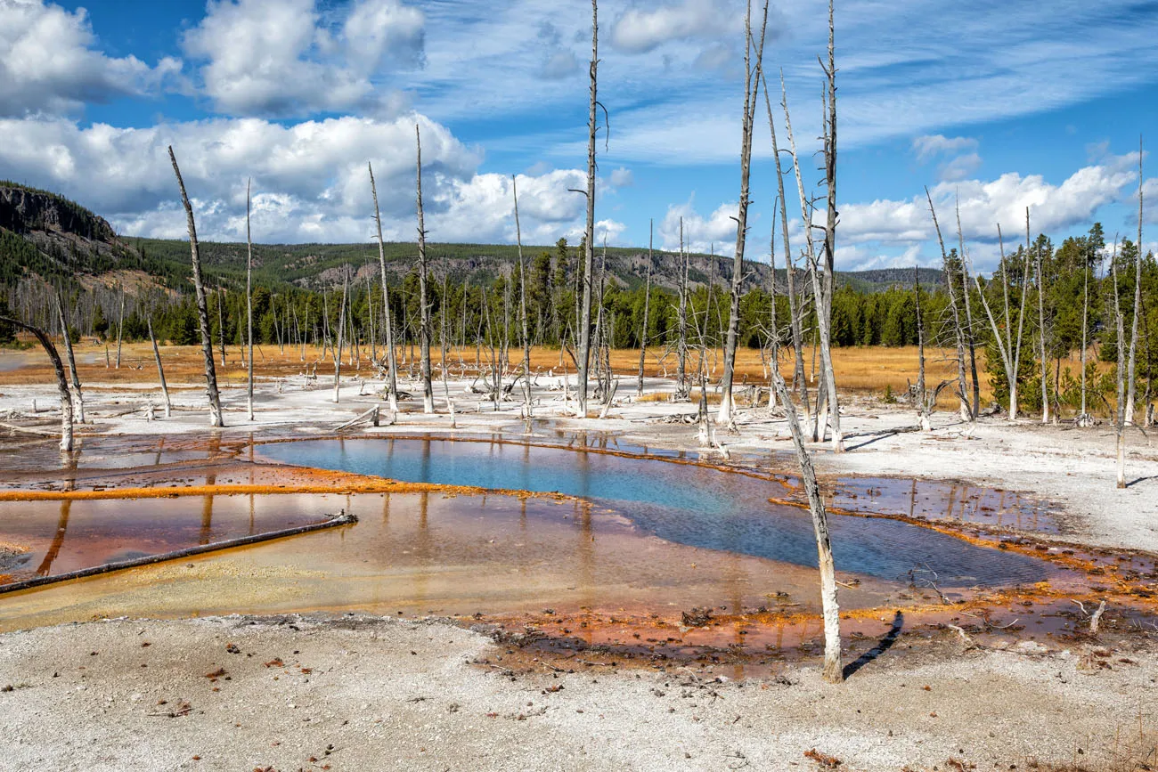 Yellowstone in Fall