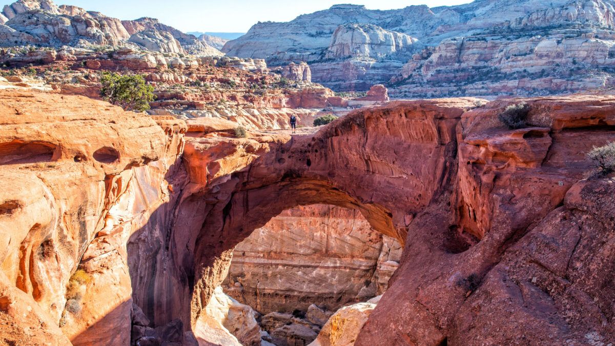 Cassidy arch capitol shop reef national park