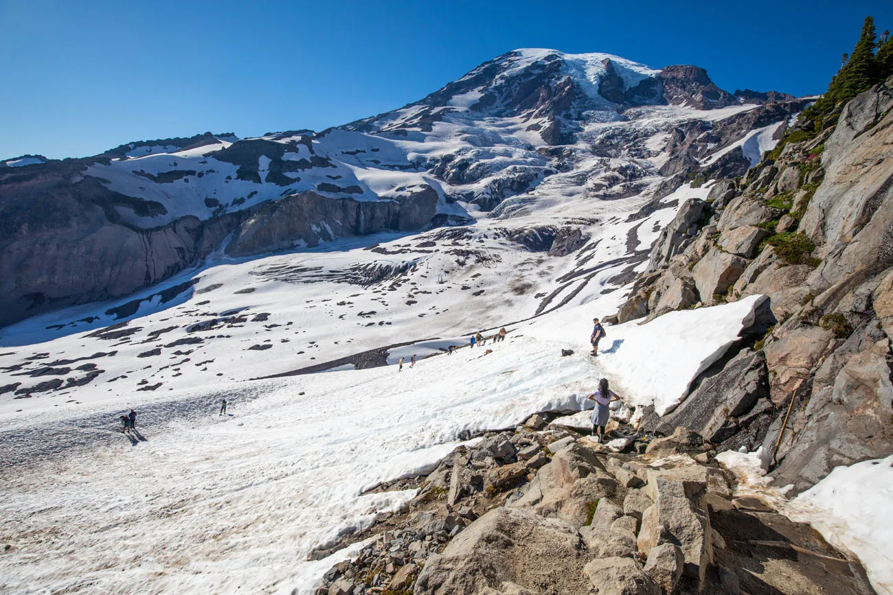 Mount Rainer Snow on Trail