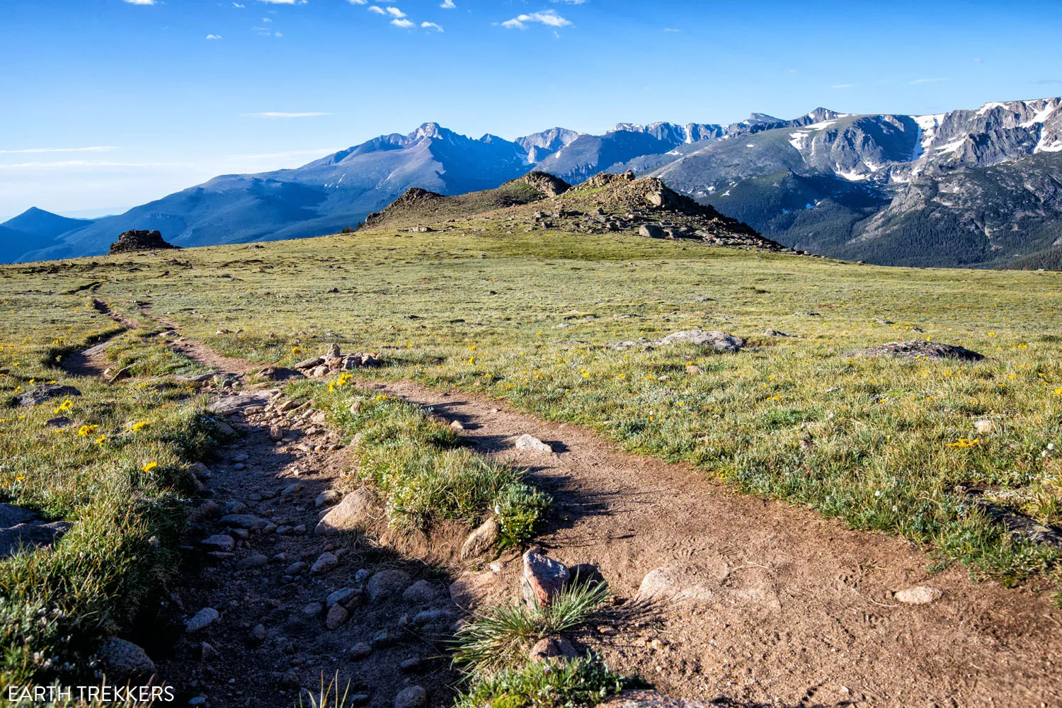 Alpine Tundra RMNP