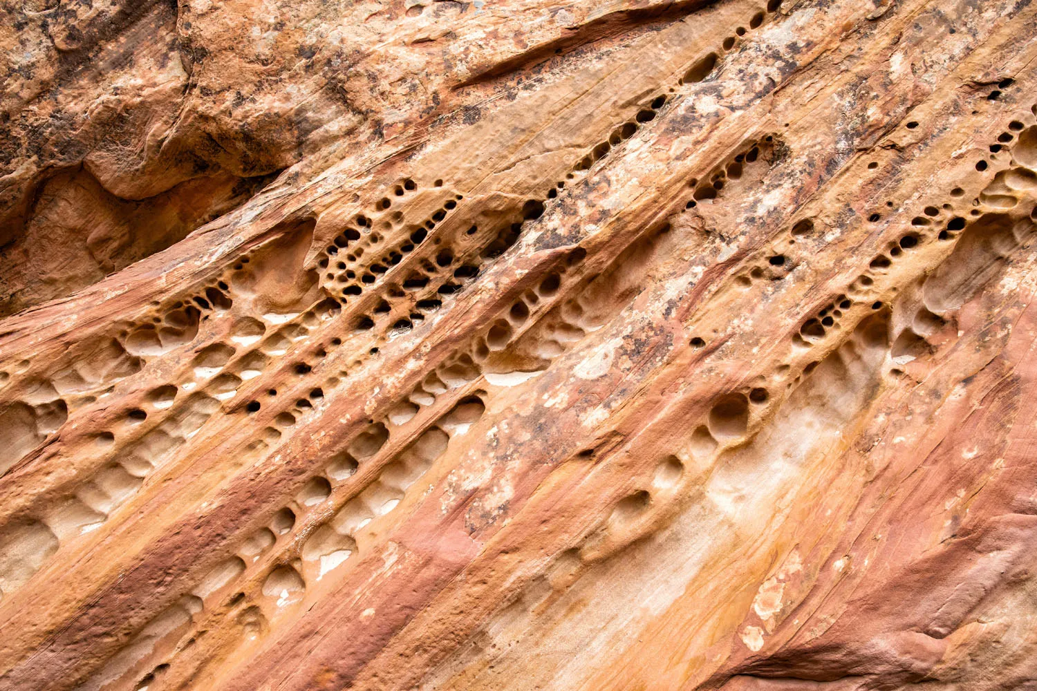 Bell Canyon Walls