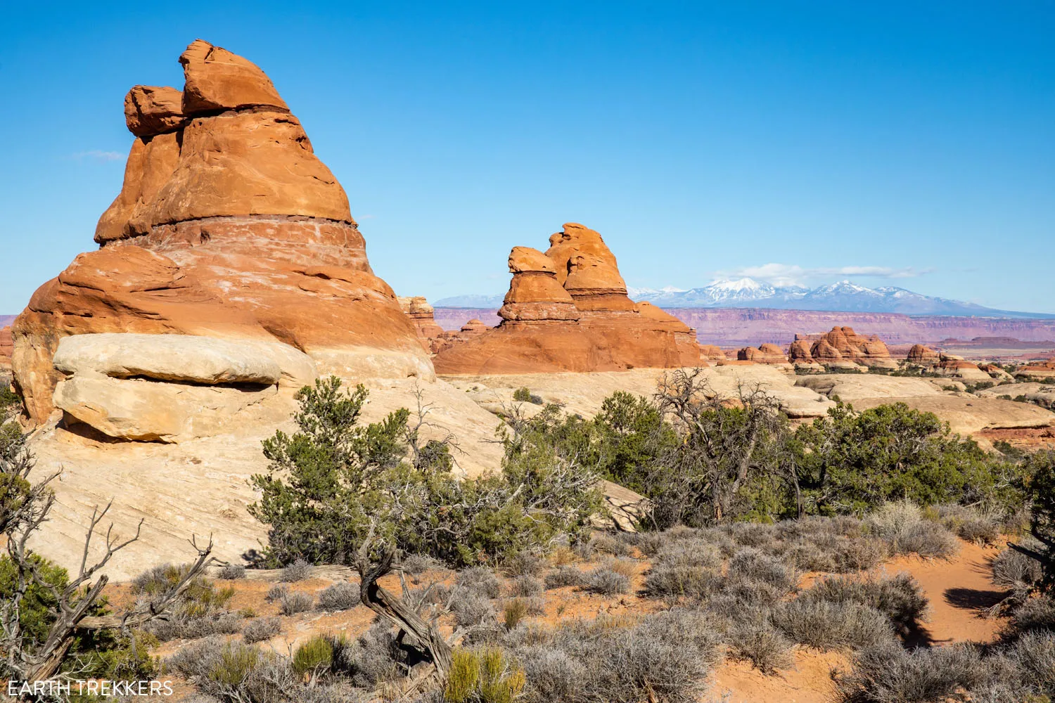 Canyonlands Needles View