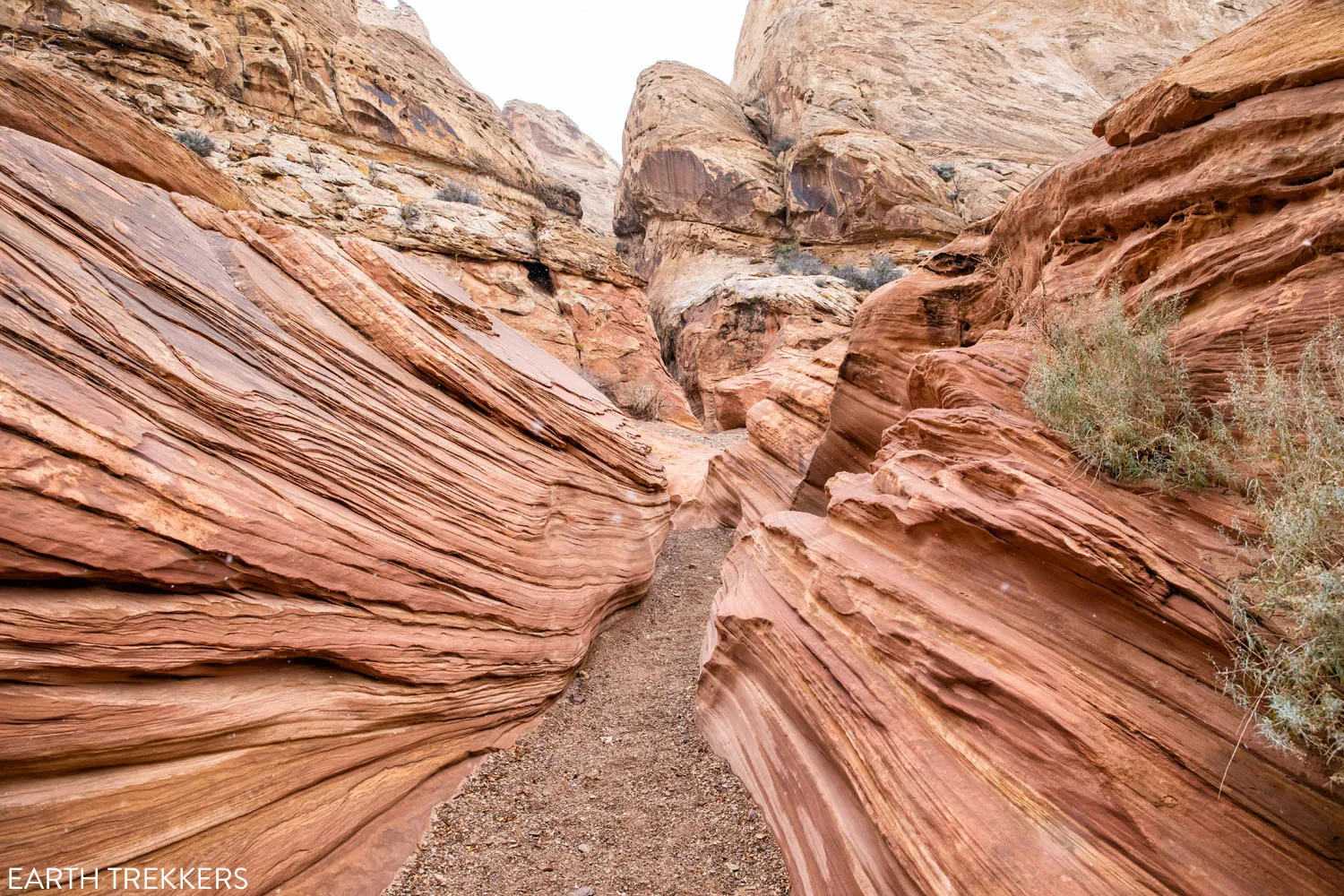 Little Wild Horse Canyon Bell Canyon