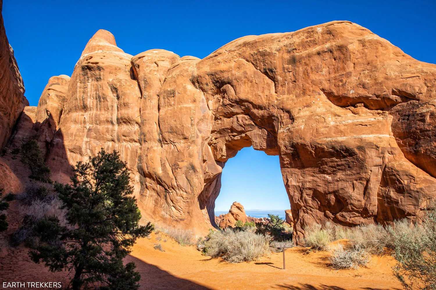 Pinetree Arch