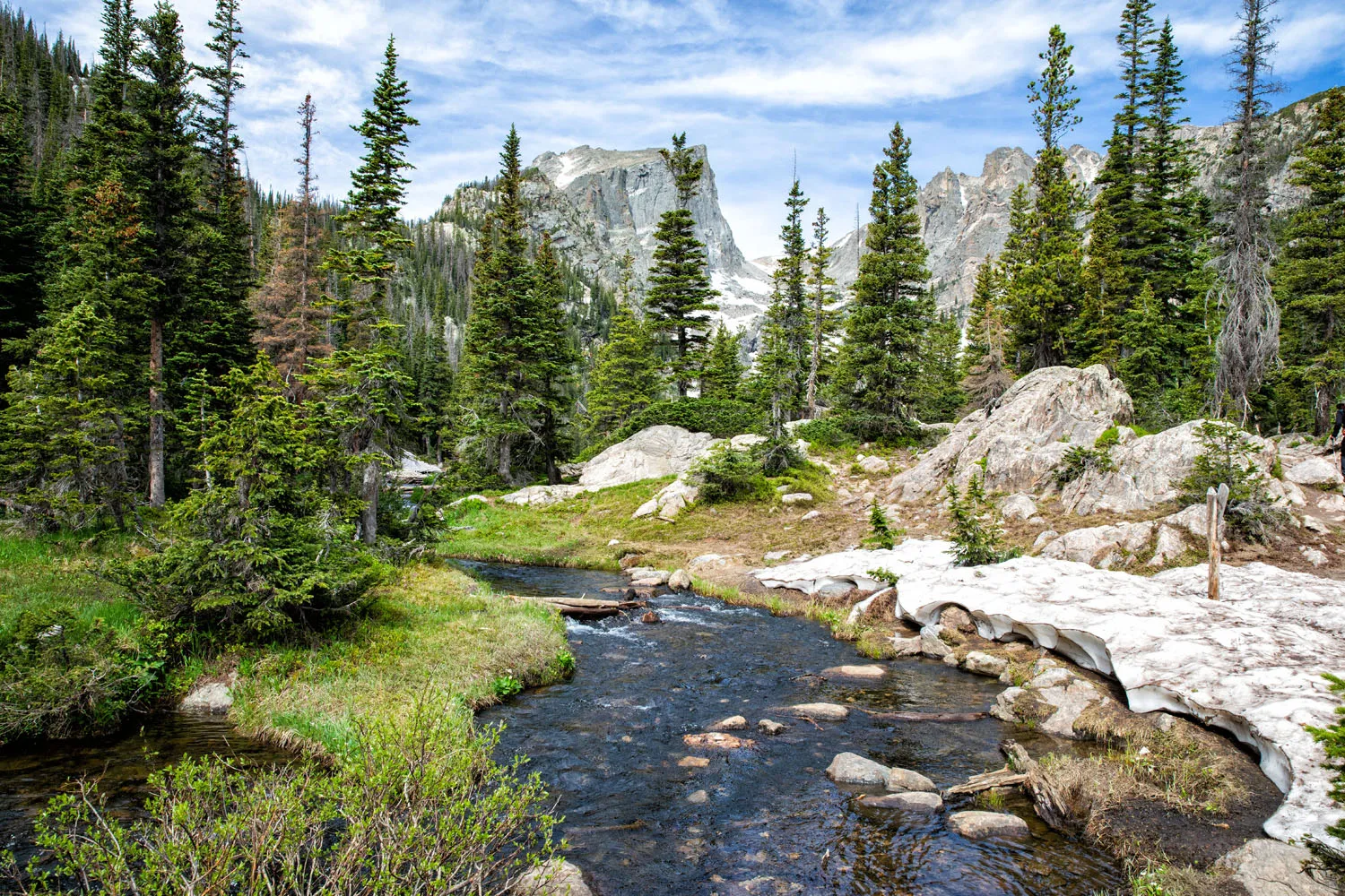 RMNP in July things to do in Rocky Mountain National Park