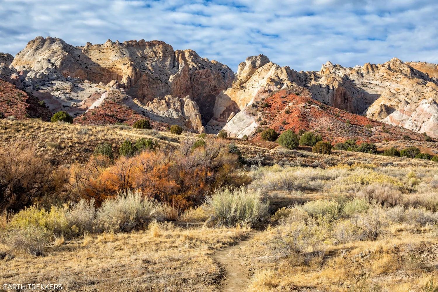 Surprise Canyon Hike