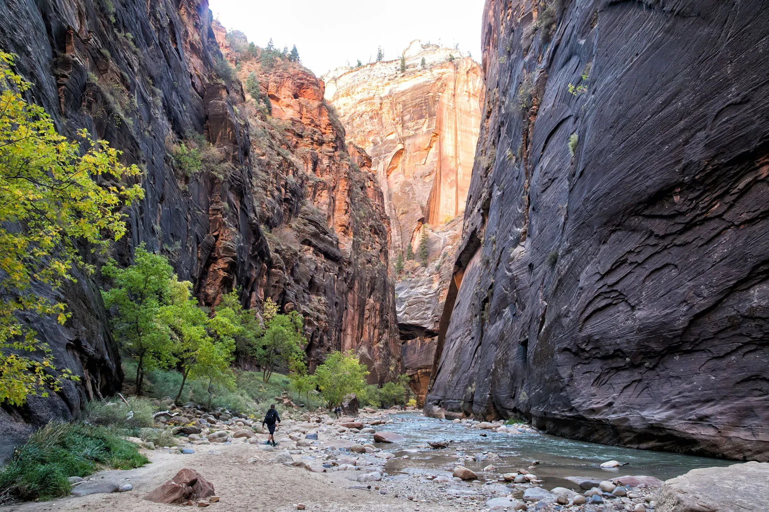 Zion Narrows