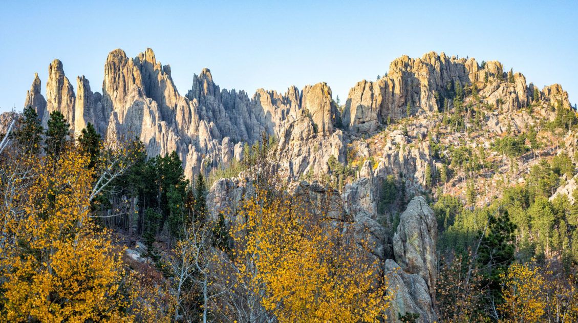 Best Things to do in Custer State Park