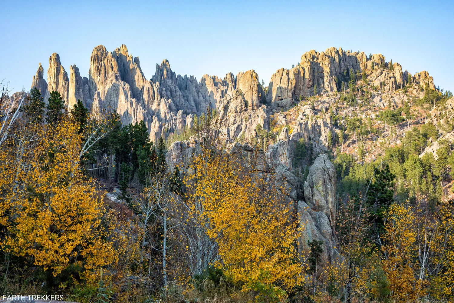 Best Time to Go to Custer State Park