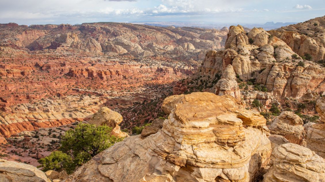 Navajo Knobs Hike Photo