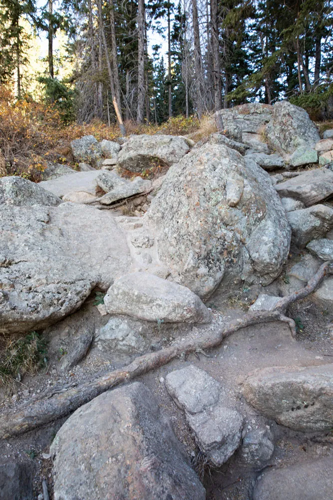 Rocky Trail