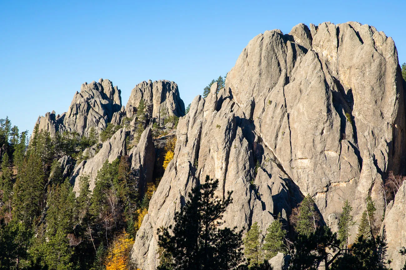 View from Tunnel things to do in Custer State Park