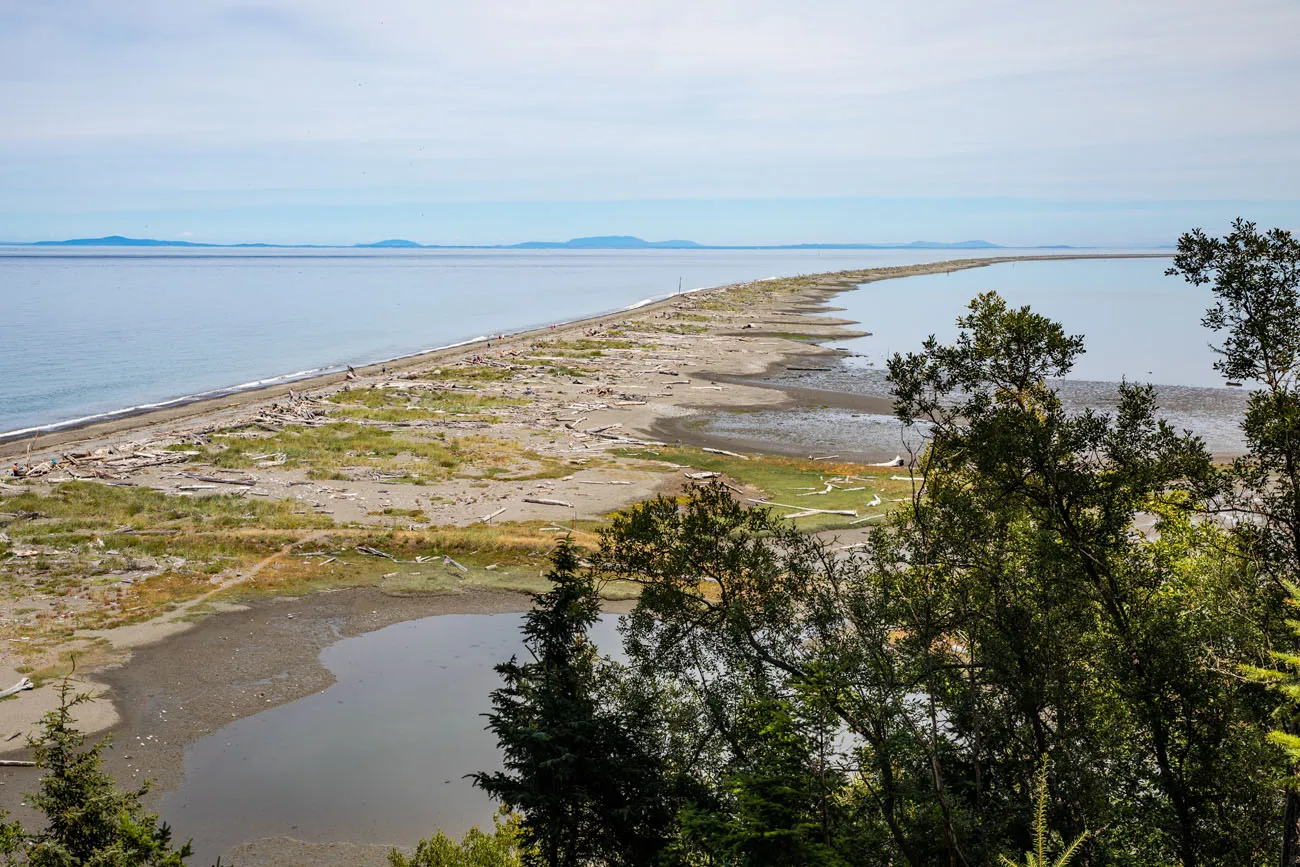 Dungeness Spit