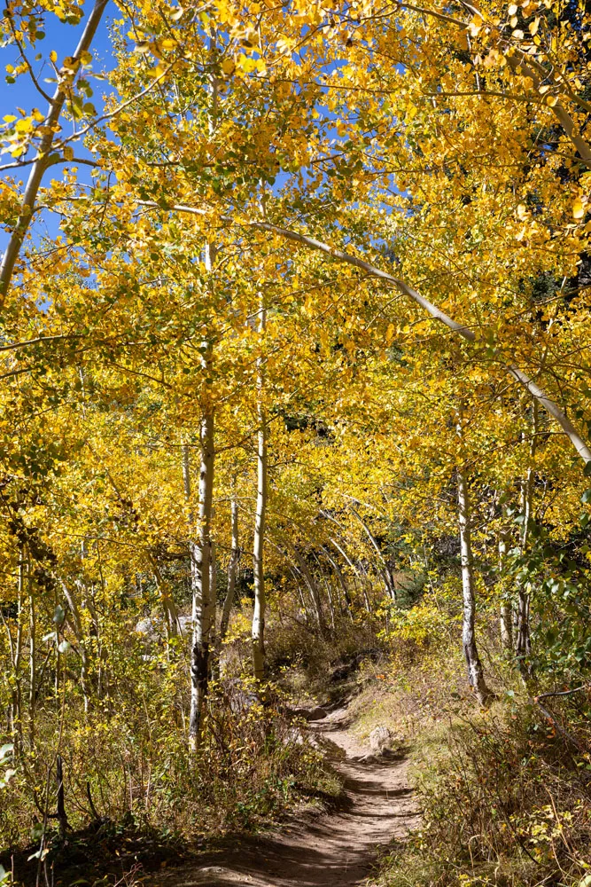 Grand Teton September