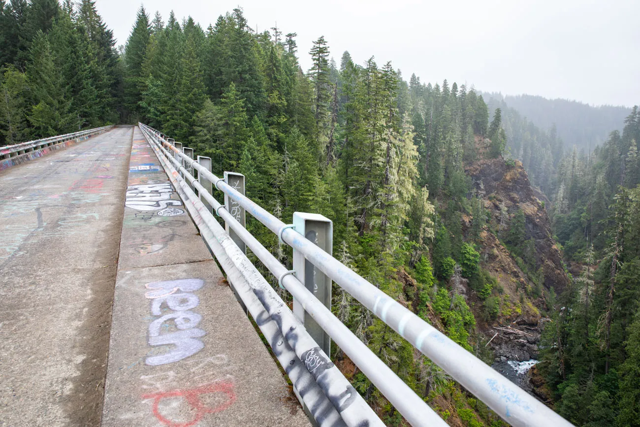 High Steel Bridge things to do in Olympic National Park