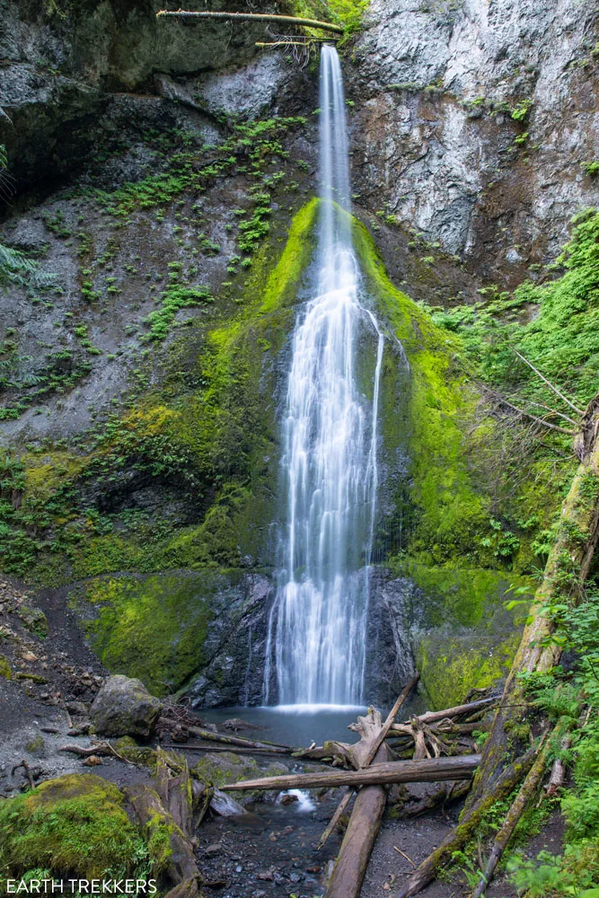 Best Things to Do in Olympic National Park – Earth Trekkers