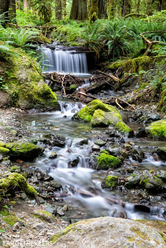 Staircase things to do in Olympic National Park